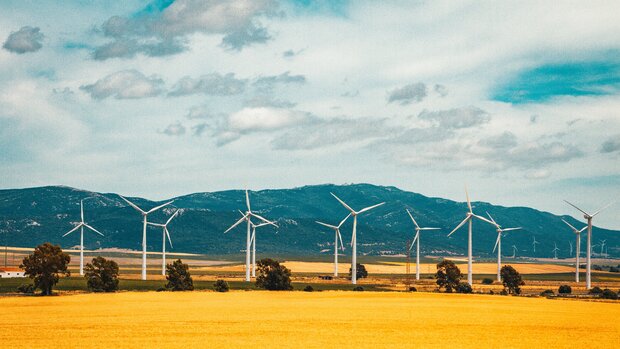  Landschaft mit zahlreichen Windrädern am Horizont